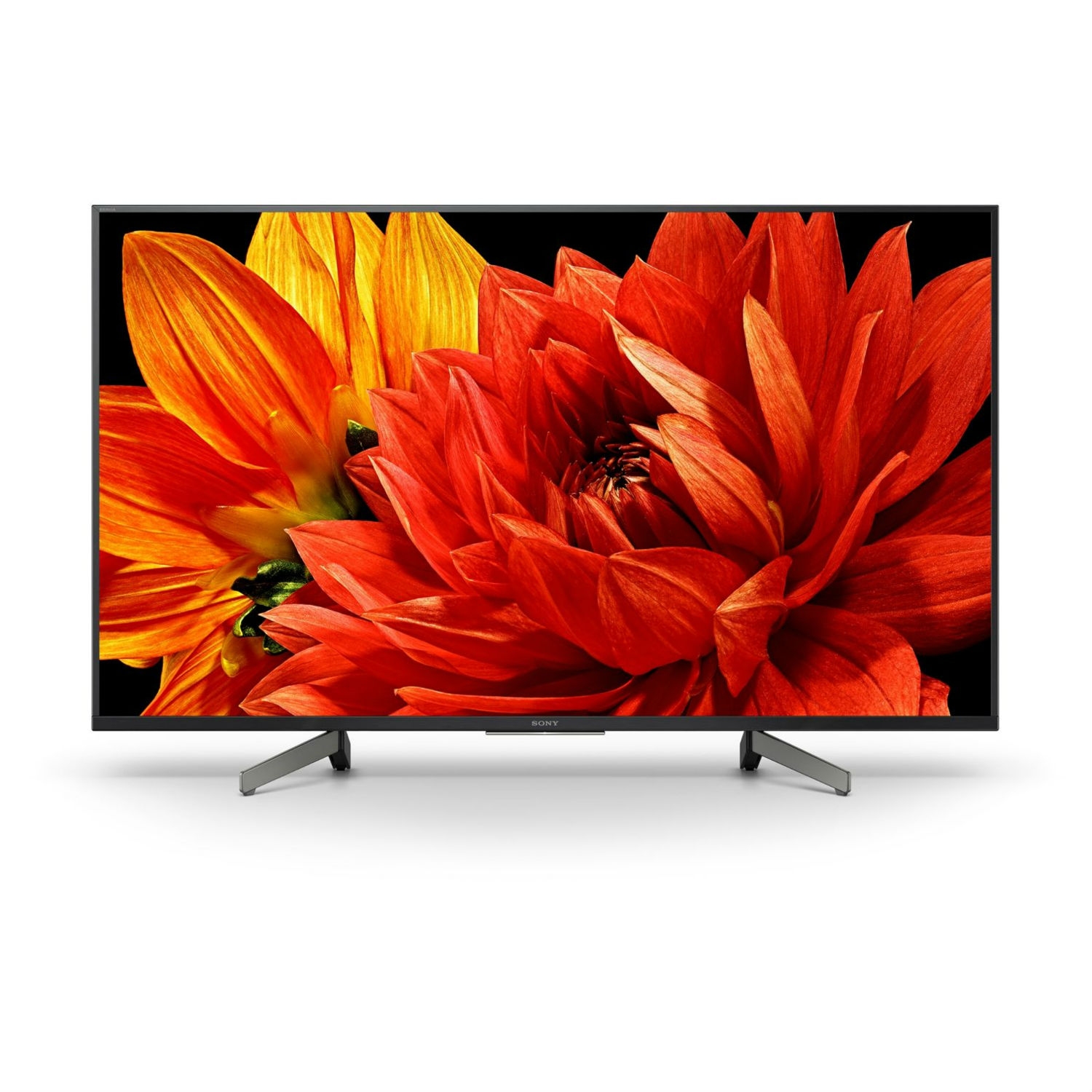 sony smart display google assistant