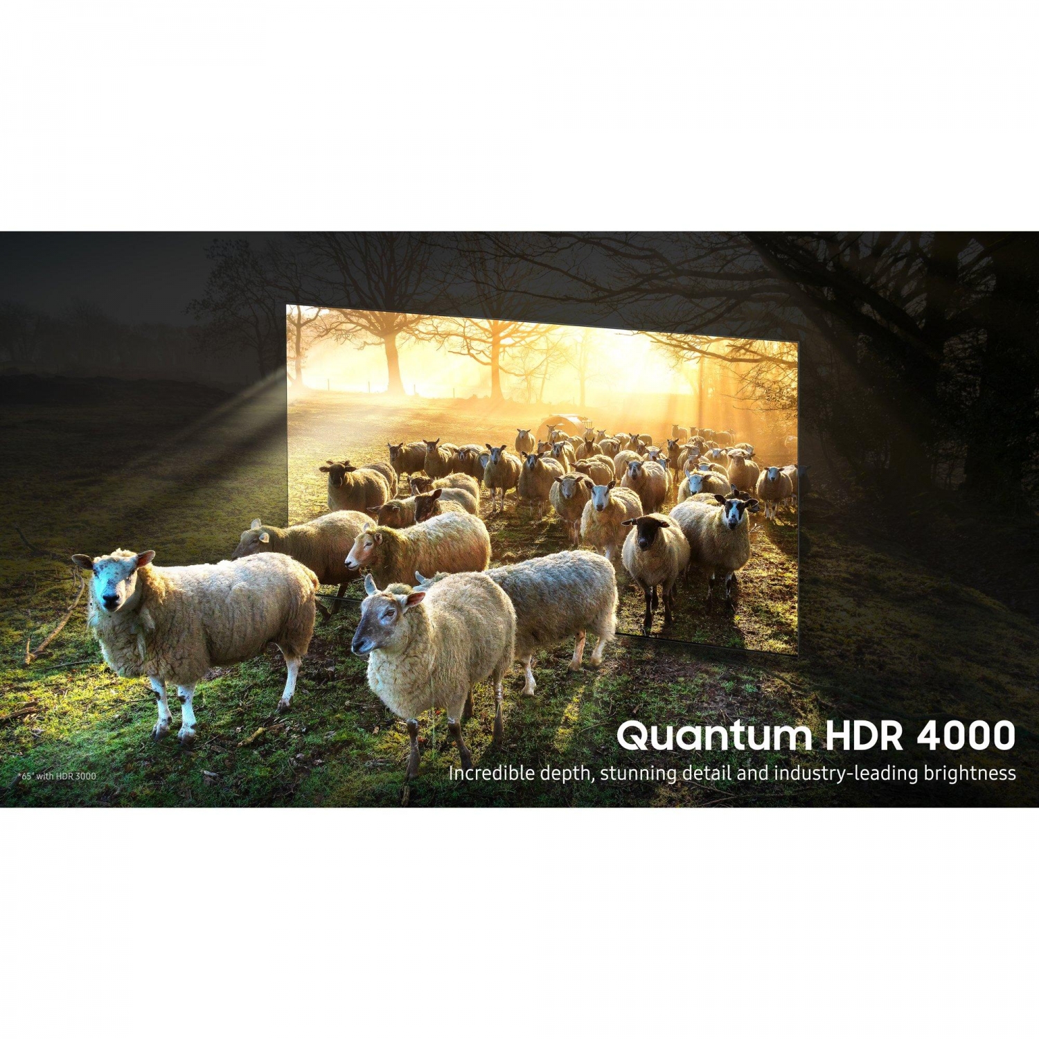 Samsung QE65QN900BTXXU 65" 8K HDR QLED Smart TV with Voice Assistants full image