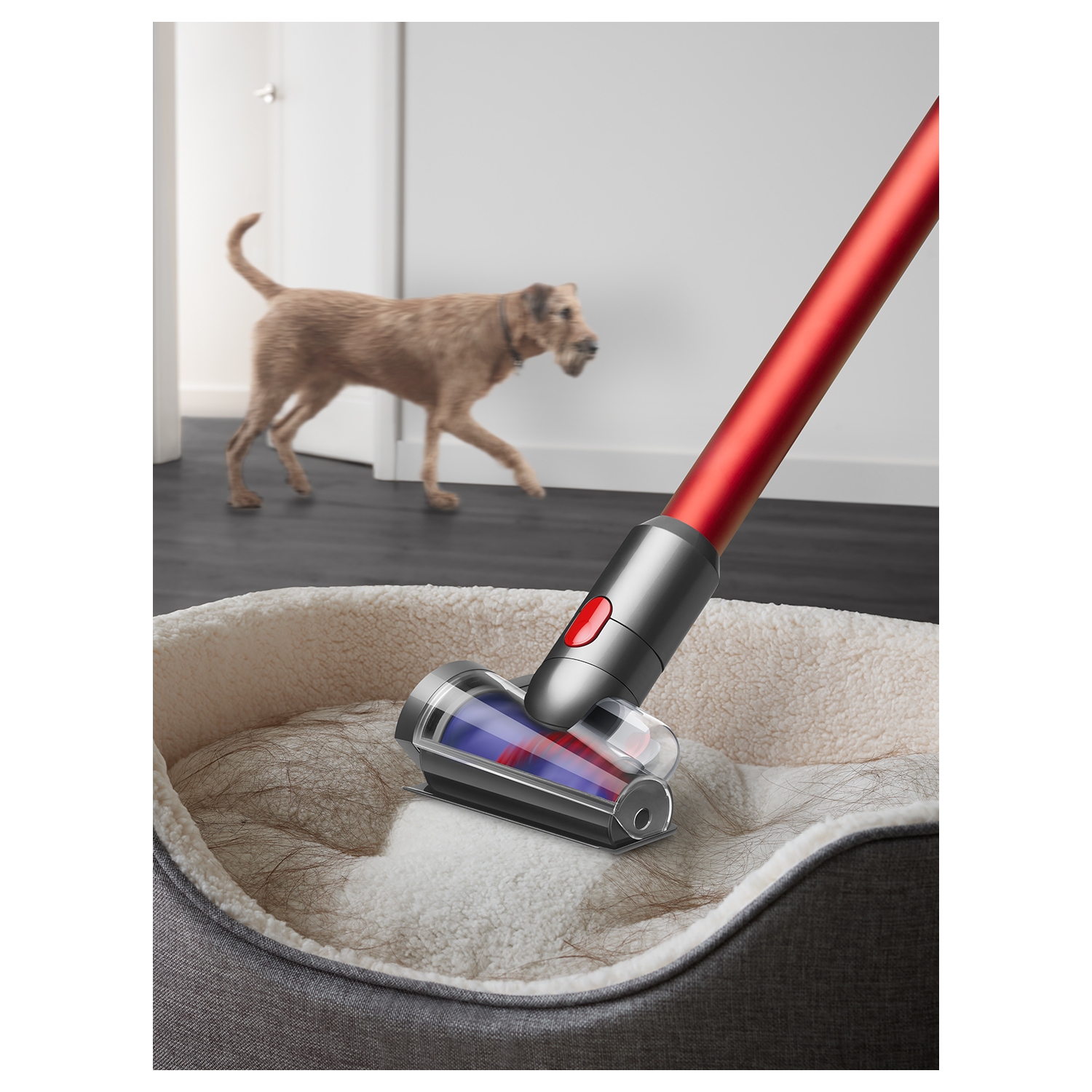 Dyson Outsize Absolute Cordless Vacuum Cleaner - 120 Minutes Run Time - 4