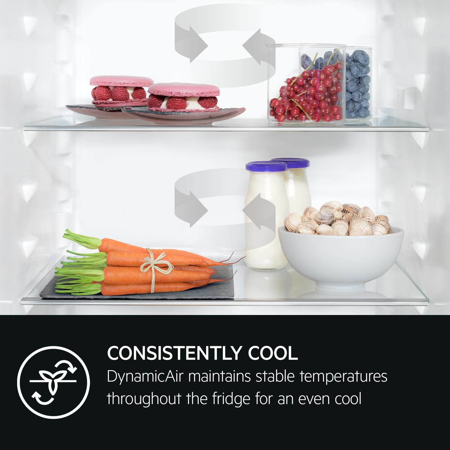 AEG Exclusiv Line NSC7T185ES 54.6cm 50/50 Built In Frost Free Fridge Freezer full image