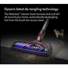 Dyson V8ADVANCED-24 KIT Vacuum Cleaner - Silver/Nickel - 2