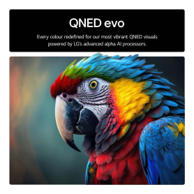 LG 65QNED85A6C.AEK 65" 4K QNED evo Smart TV - 3