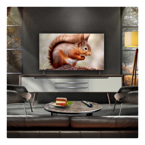 LG OLED48B56LA.AEK 48" 4K OLED Smart TV