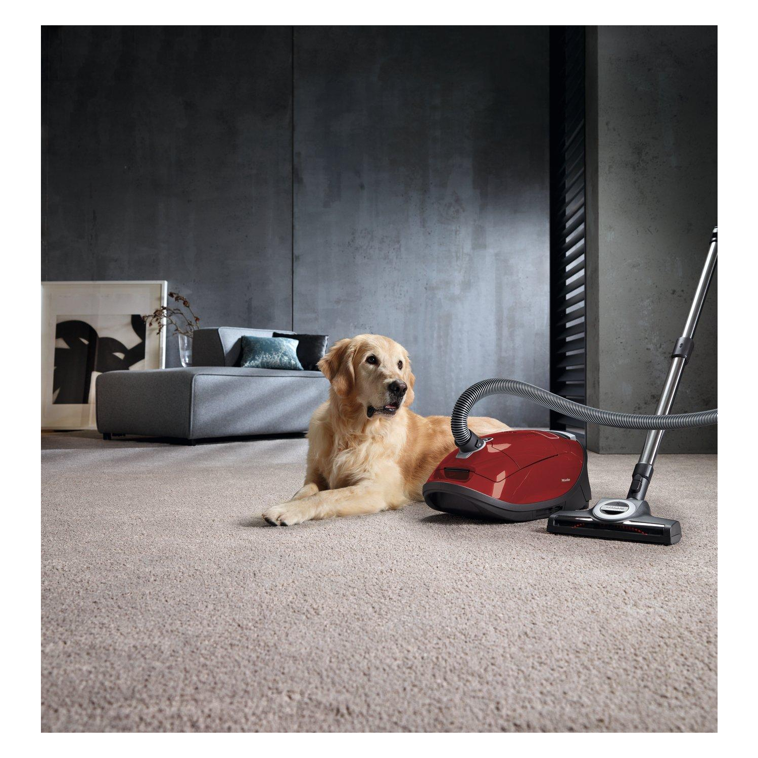 Miele C3FLEX_CAT_DOG Complete Flex Cat & Dog Cylinder Vacuum Cleaner - Red - 7