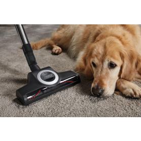 Miele C3FLEX_CAT_DOG Complete Flex Cat & Dog Cylinder Vacuum Cleaner - Red - 6