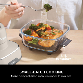 Ninja FN101UKST CRISPi 4-in-1 Portable Air Fryer Stone Colour - 10