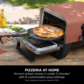 Ninja OO101UK Ninja Woodfire Outdoor Oven, Artisan Pizza Maker and BBQ Smoker - Terracotta/Steel - 11