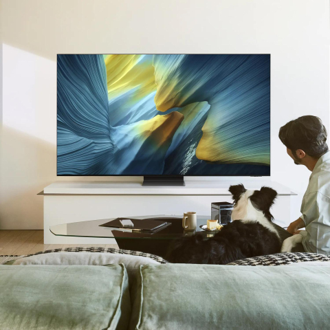 Samsung QE83S95FAEXXU 83" 4K OLED Smart AI TV