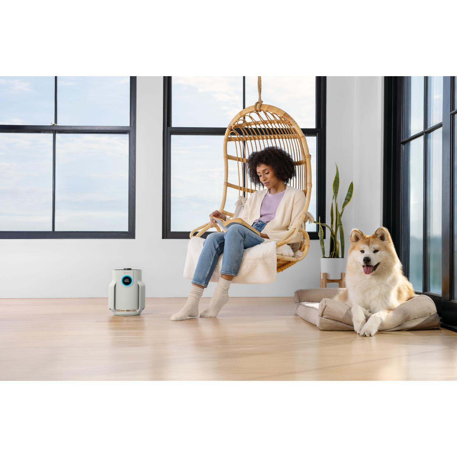 Shark HP072UK Shark NeverChange5 Air Purifier Compact Pro - Dove full image
