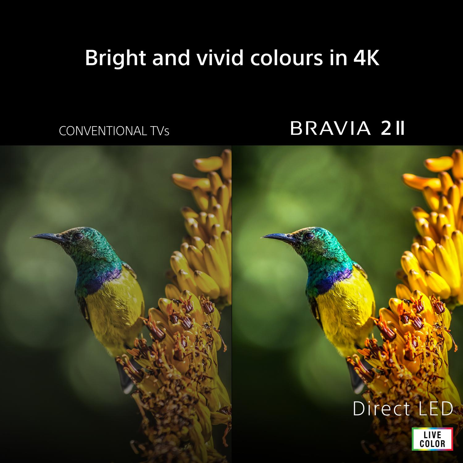 Sony K75S25M2PB.UKA 75" 4K BRAVIA 2 II Direct LED Google TV full image