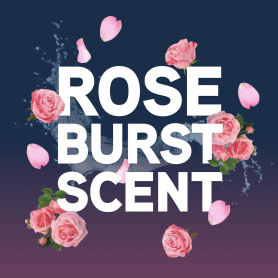 Vax 19142065 Carpet Cleaner Solution Ultra +4 litre  - 1