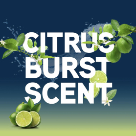 Vax 1-9-142404 Platinum Antibacterial Solution 1.5L - 1