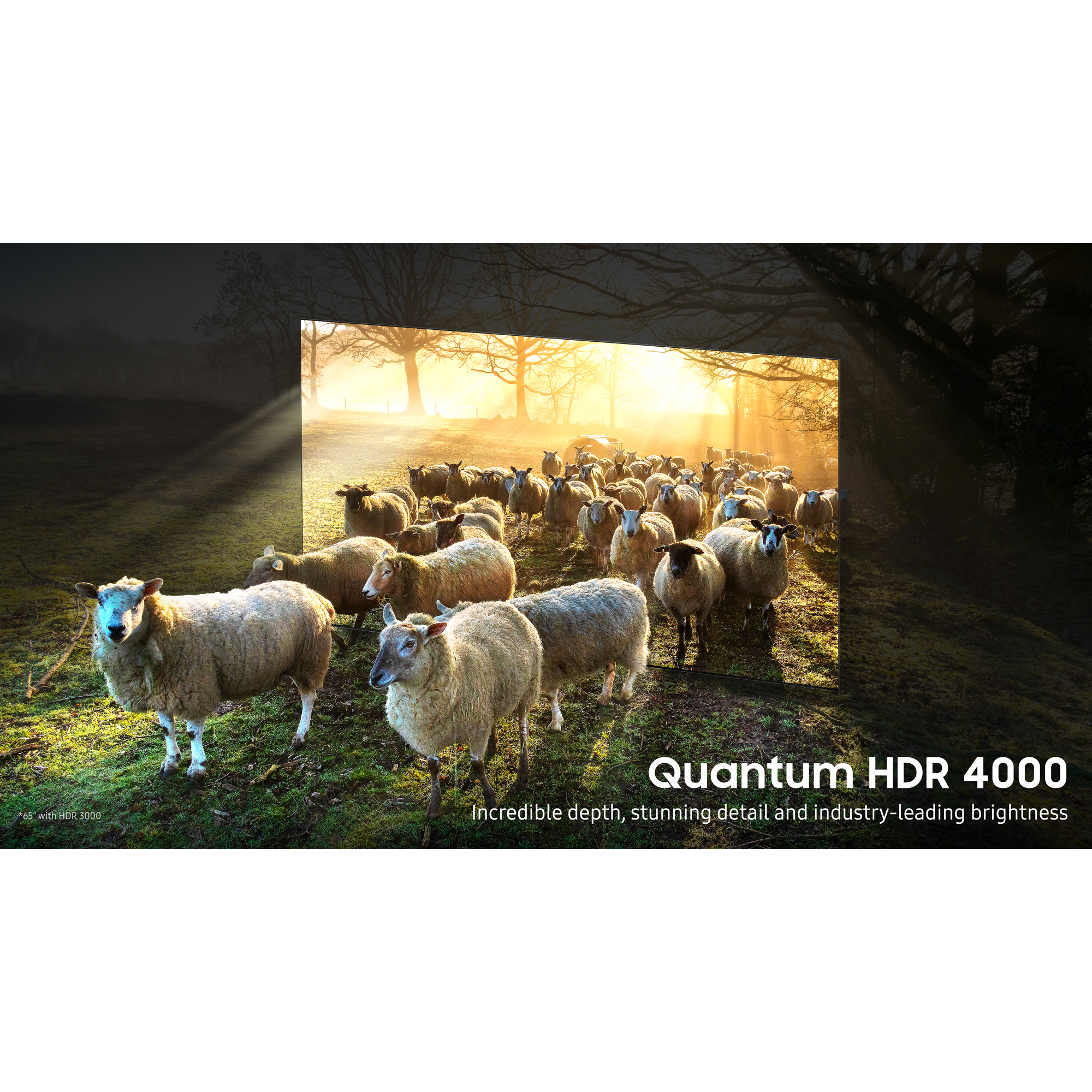 Samsung QE75QN900BTXXU 75" 8K HDR QLED Smart TV with Voice Assistants thumbnail image