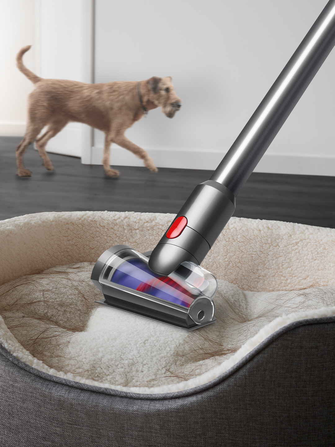 Dyson V15 Detect Absolute Cordless Stick Cleaner - 60 Minute Run Time thumbnail image
