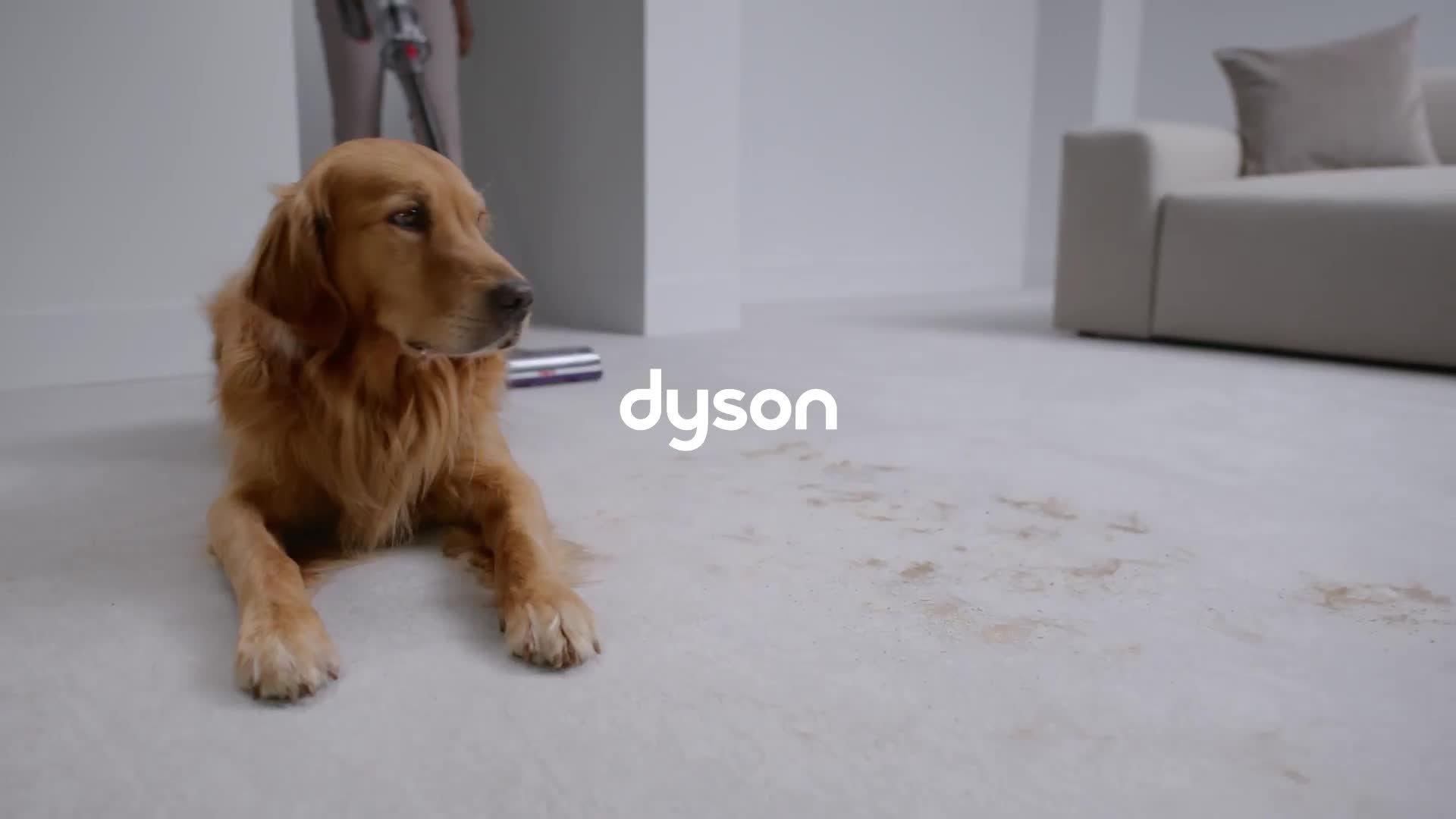 Dyson V15-2024 Cordless Vacuum - 60 Minutes Run Time - Yellow/Nickel thumbnail image
