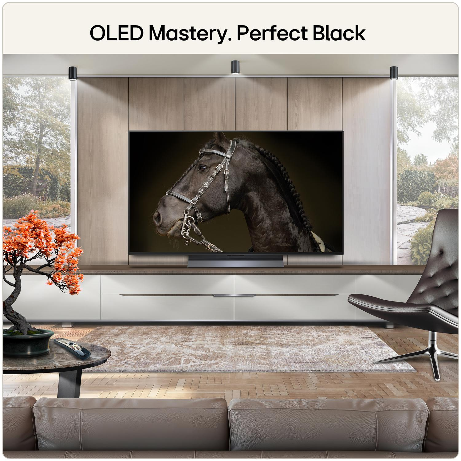 LG OLED48C66LB.AEK 48" 4K OLED evo AI Smart TV thumbnail image