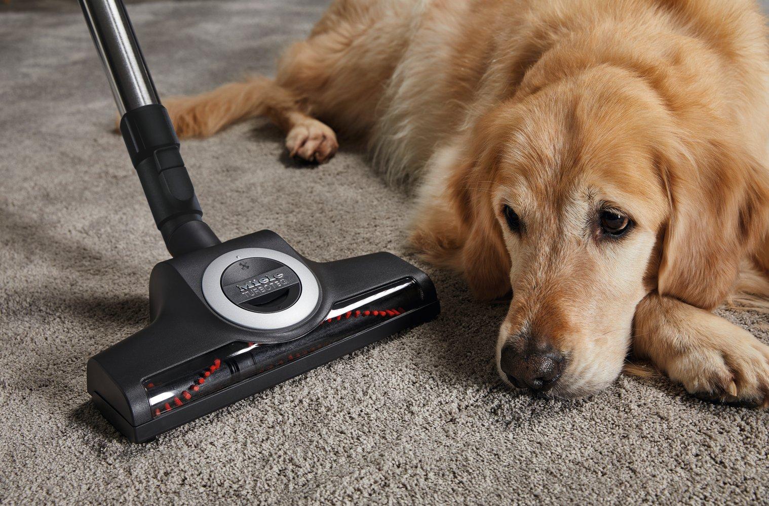Miele C2CAT_DOG Complete Cylinder Vacuum Cleaner - Red thumbnail image