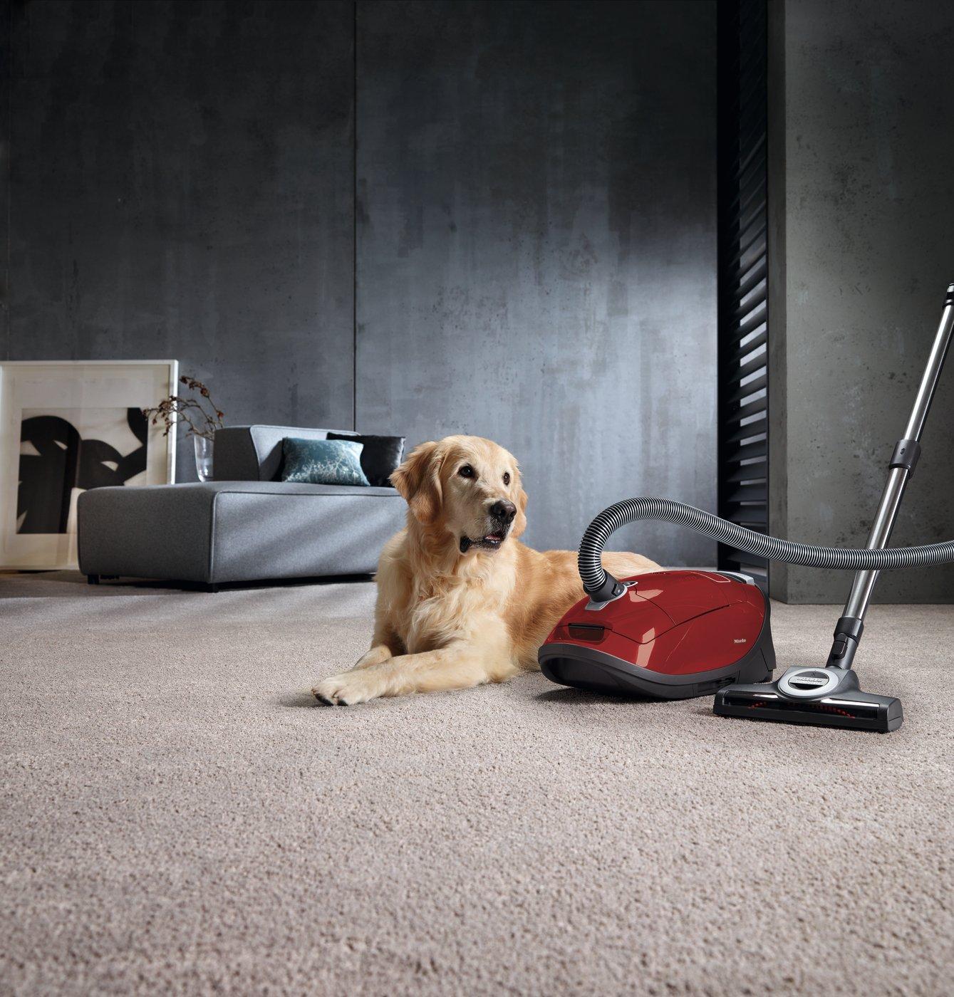 Miele C3FLEX_CAT_DOG Complete Flex Cat & Dog Cylinder Vacuum Cleaner - Red thumbnail image