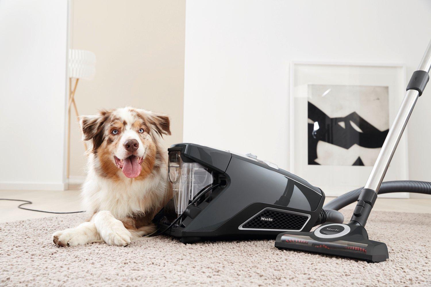 Miele CX1BLIZ_CAT_DOG Blizzard Comfort Cat & Dog Cylinder Vacuum Cleaner - Grey thumbnail image