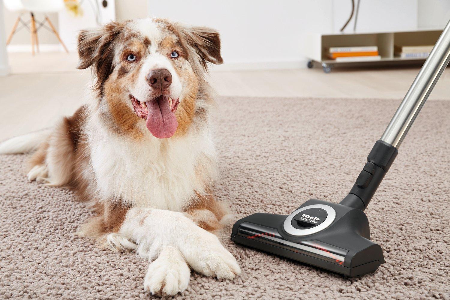 Miele CX1BLIZ_CAT_DOG Blizzard Comfort Cat & Dog Cylinder Vacuum Cleaner - Grey thumbnail image