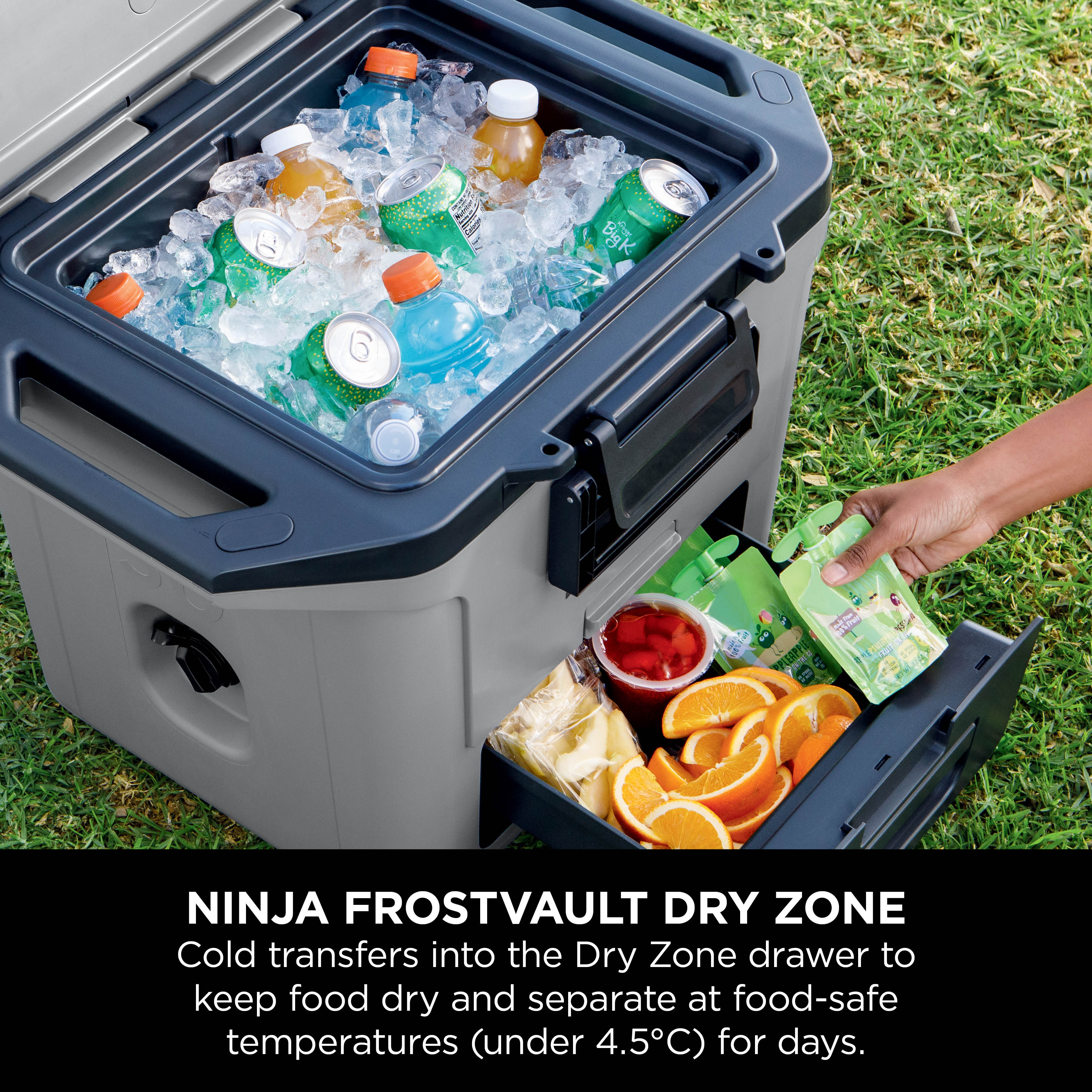 Ninja FB131UKGY FrostVault 30QT/28L Hard Cooler with Dry Zone - Slate Grey thumbnail image
