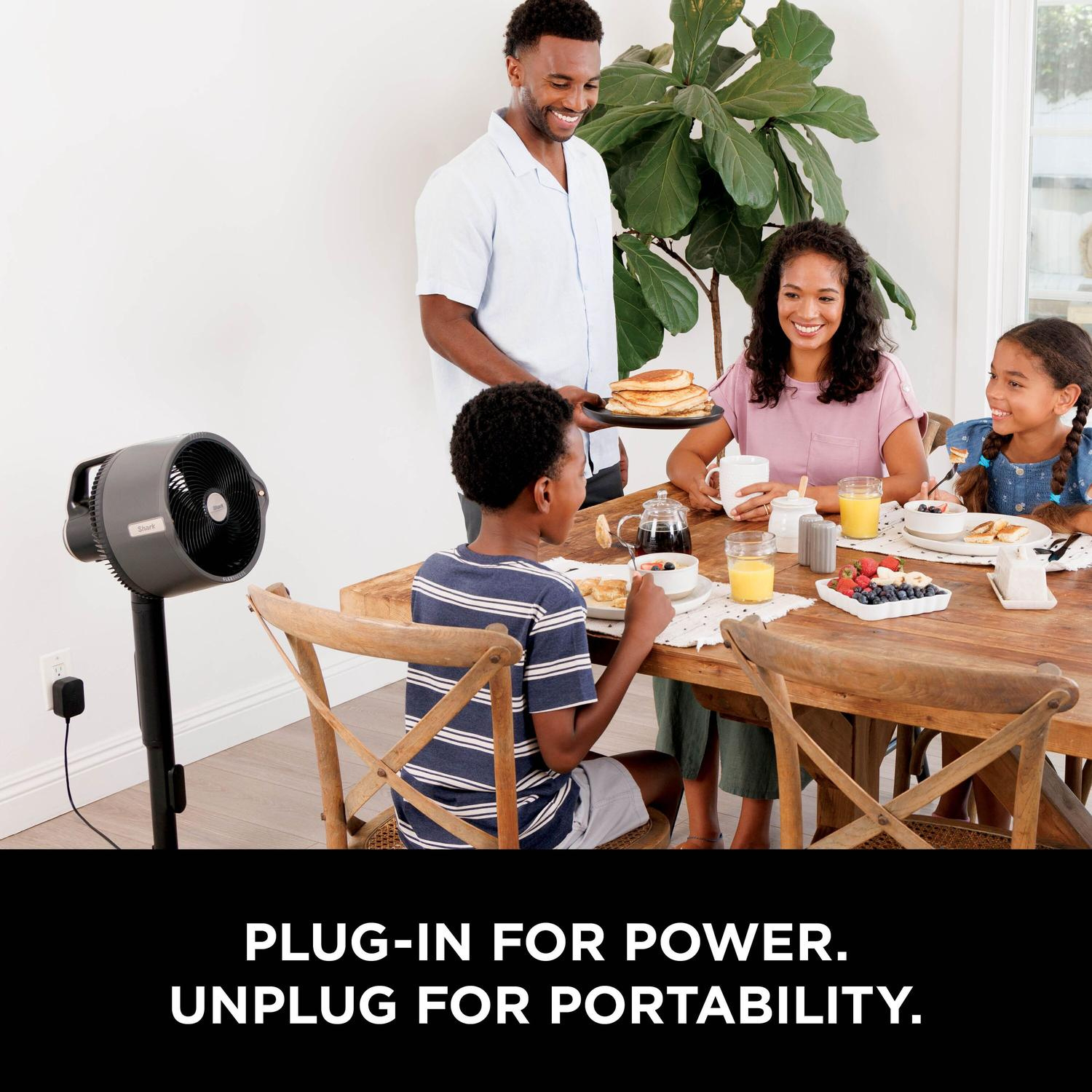 Shark FA300UK Shark FlexBreeze Pro Mist Indoor & Outdoor Fan & Outdoor Misting System - Dark Gray, Charcoal thumbnail image