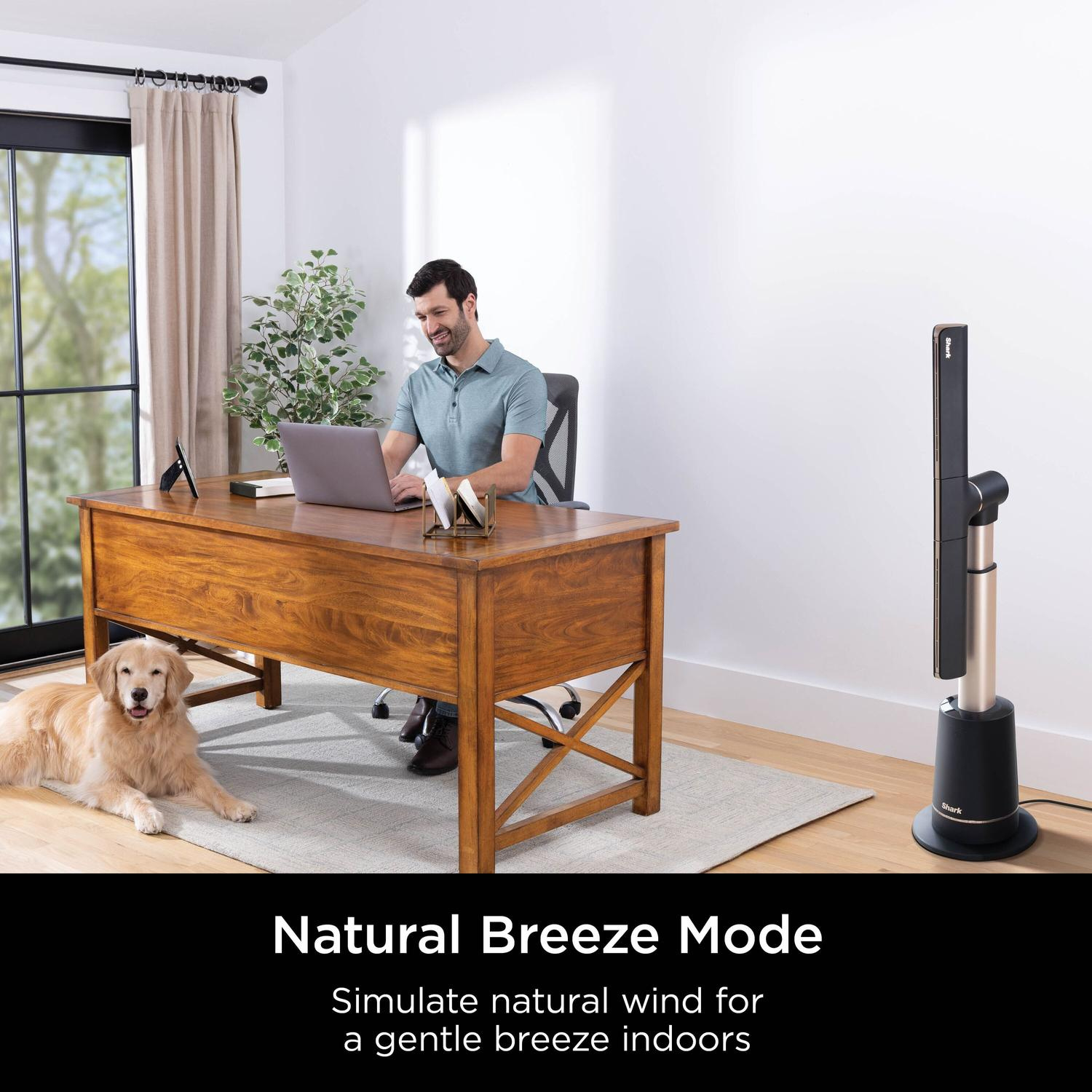 Shark TF200SUK TurboBlade Multi-Directional Cooling Fan - Charcoal Beat Brass thumbnail image
