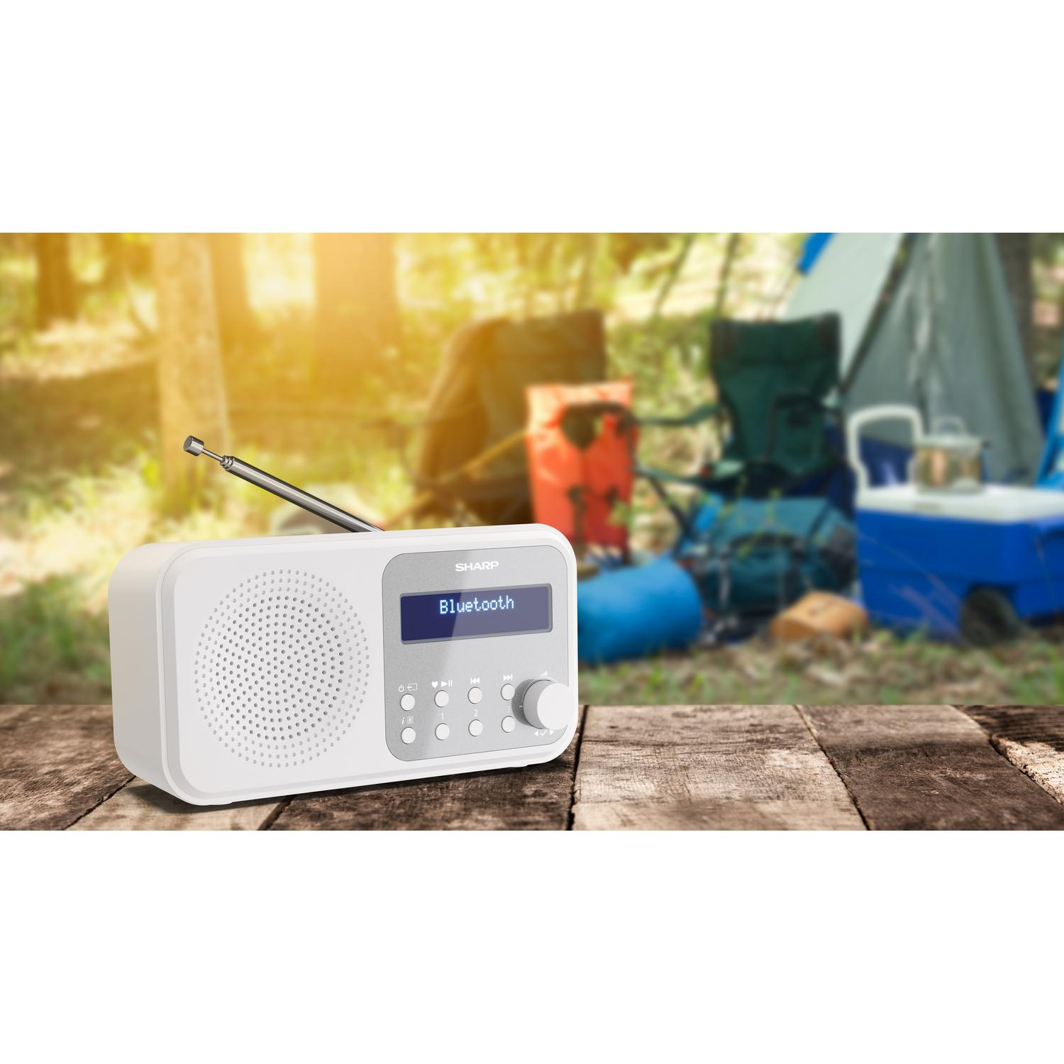 Sharp DR-P420BL Portable Digital Radio - Blue thumbnail image