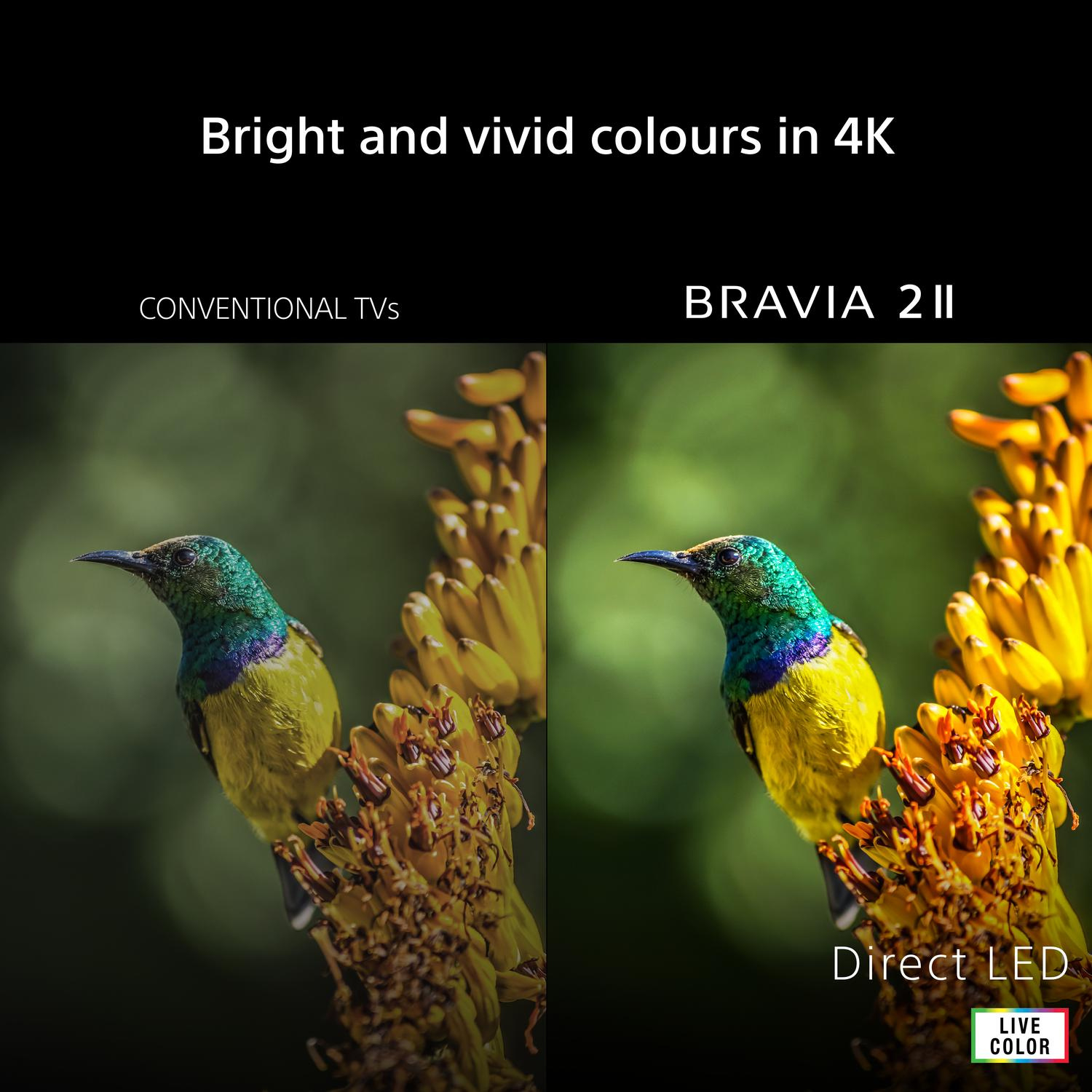 Sony K65S25M2PB.UKA 65" 4K BRAVIA 2 II Direct LED Google TV thumbnail image