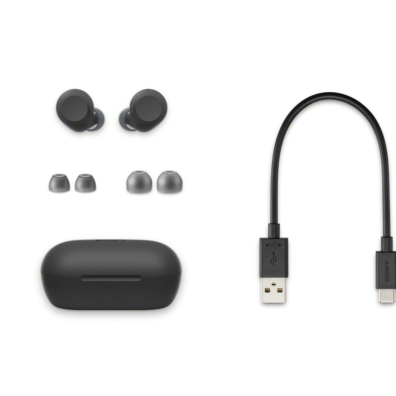 Sony WFC710NB.CE7 Wireless Noise Cancelling Bluetooth Earbuds thumbnail image