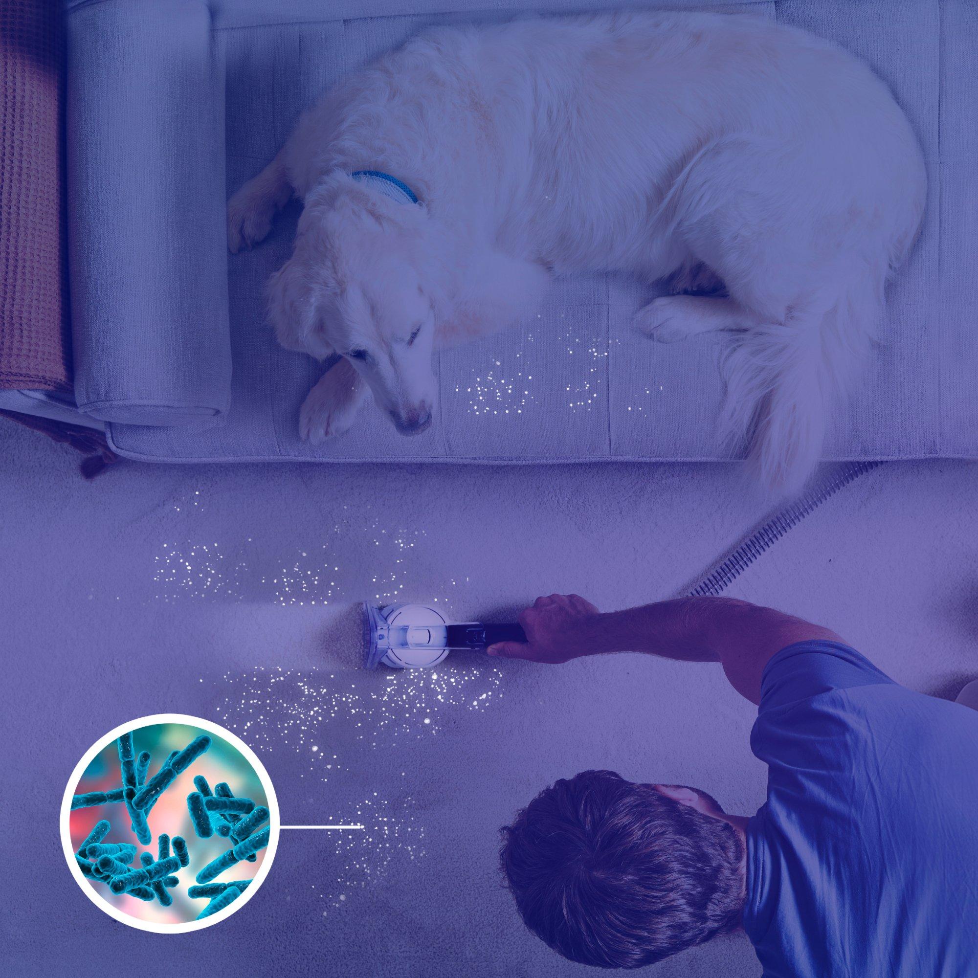 Vax CDSW-MPXA SpotWash Home Pet-Design - Grey- White & Teal thumbnail image