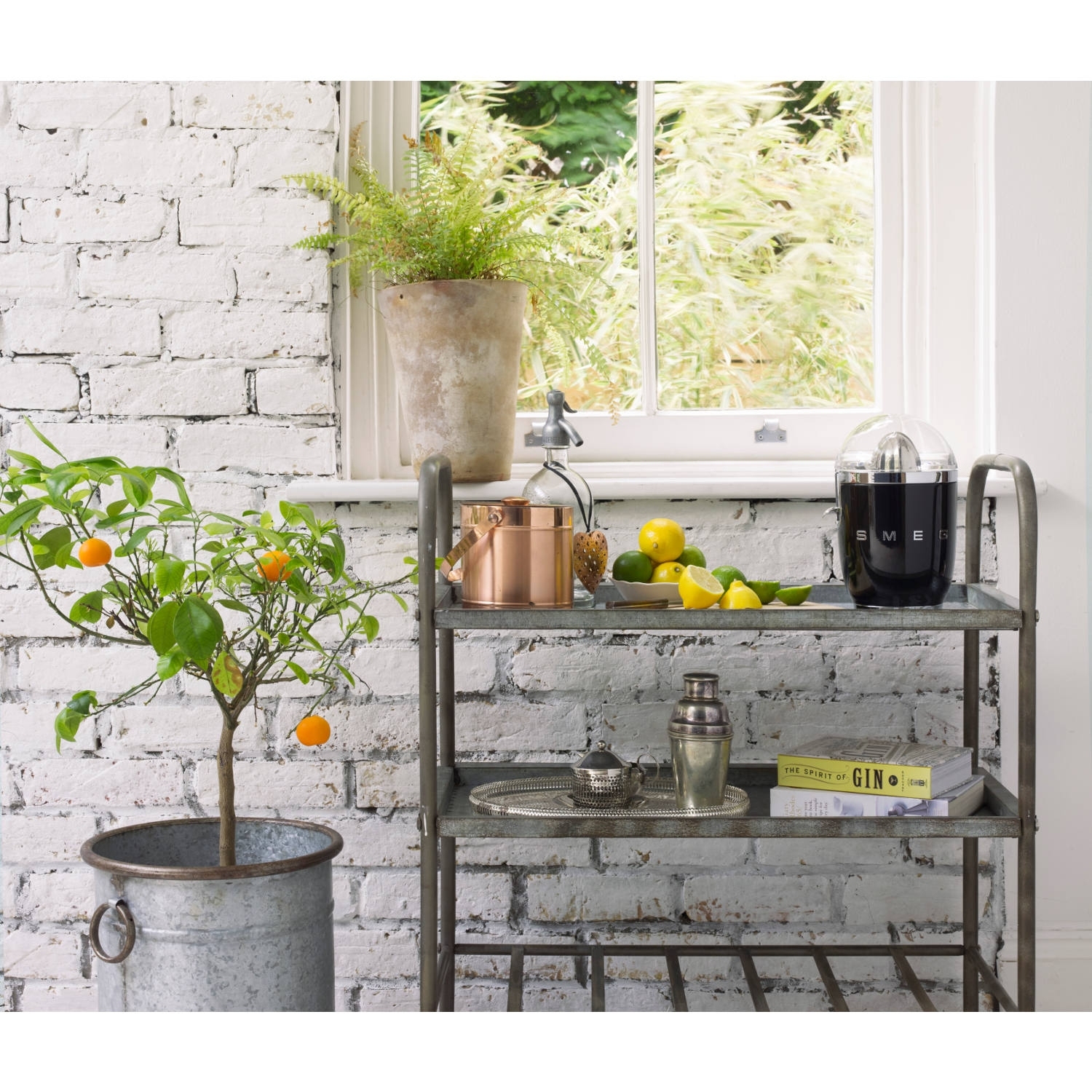 Smeg 50's Retro Style Citrus Juicer full image